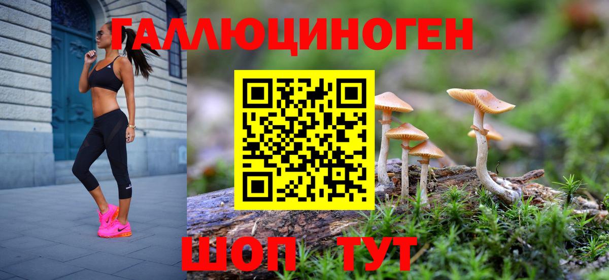 Галлюциногенные грибы GOLDEN TEACHER Уссурийск