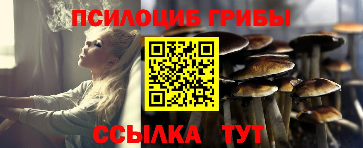 магазин  наркотиков  Вход с VPN  Псилоцибиновые грибы Cubensis  Уссурийск  Псилоцибиновые грибы мицелий 